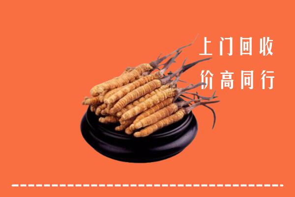 高价求购：肇源县回收散虫草